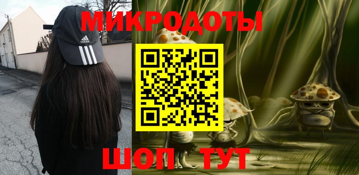 Галлюциногенные грибы Psilocybe Электросталь