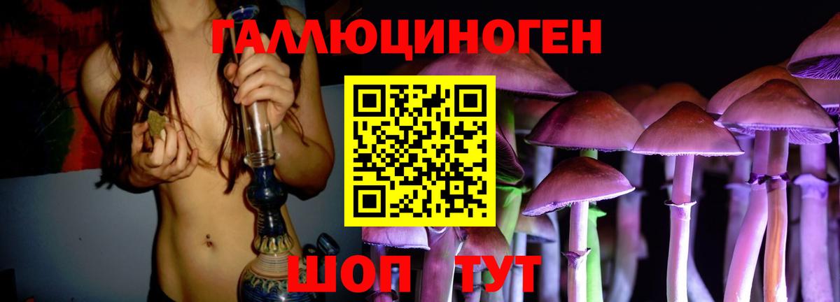 Электросталь  Галлюциногенные грибы Cubensis  закладка  Вход с VPN 